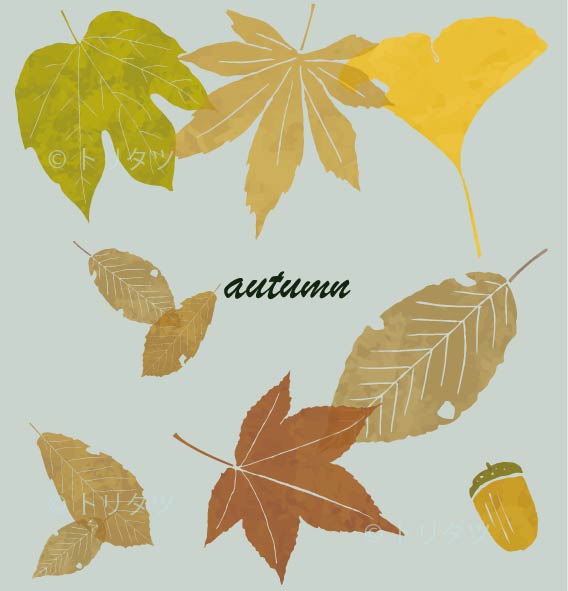 autummokup